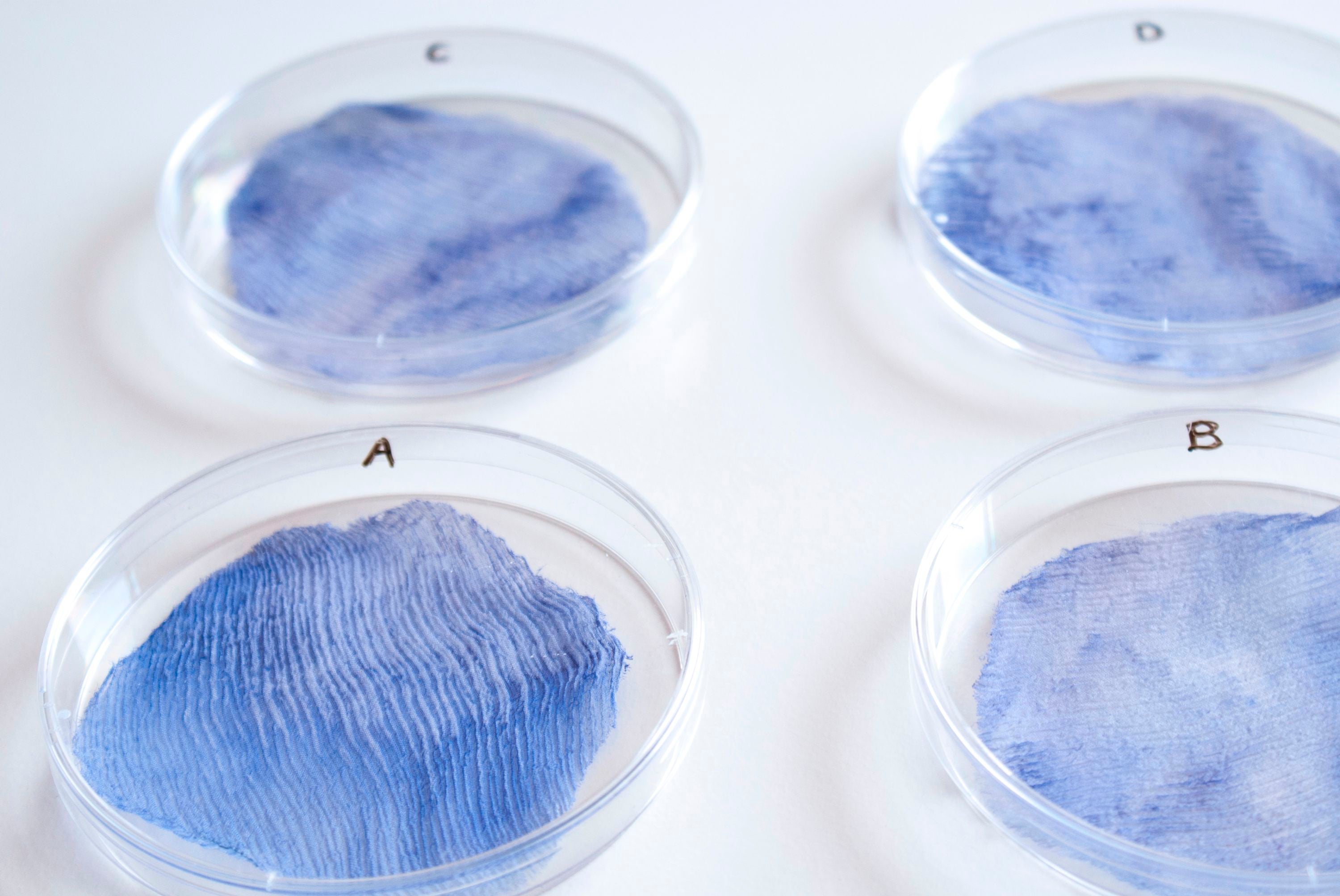 The Environment's New Clothes: Textiles Grown from Live Organisms - Scientific