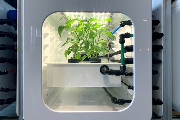 Greens grow behind the window of a modular system