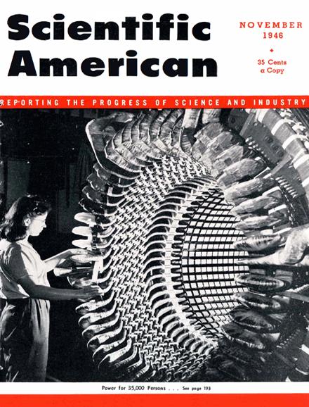 Scientific American Magazine Vol 175 Issue 5