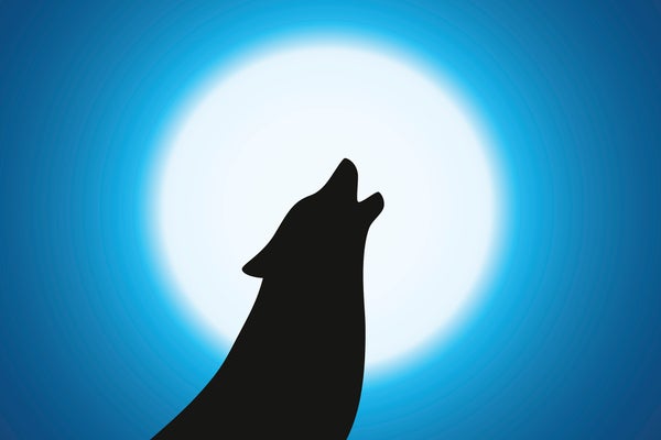 Wolf howling, silhouetted in front of moon