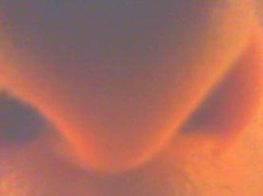 The Hedonic Nose: Pleasure May Organize Your Sense of Smell