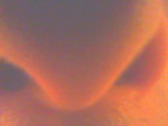 The Hedonic Nose: Pleasure May Organize Your Sense of Smell