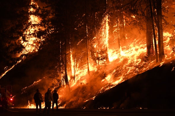 Warming Is Worsening Wildfires, but Not Everywhere or Every Time