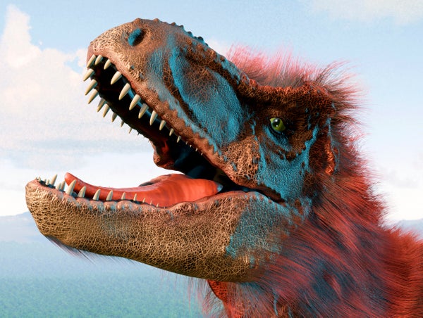 An artist's interpretation of a Tyrannosaurus rex with feathers colored bright orange and blue.