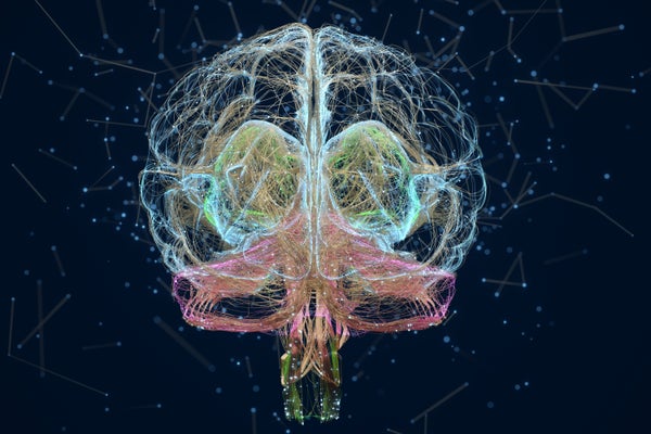 Digital image of human brain