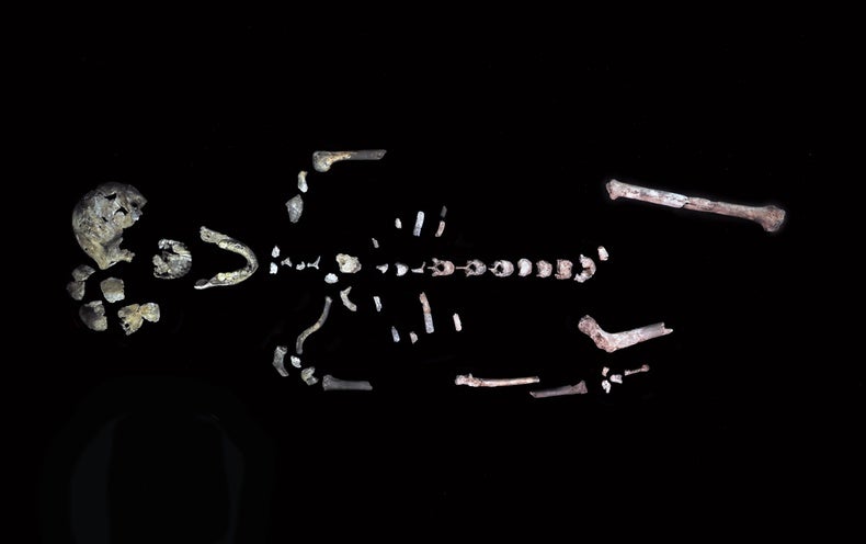 Meet Neo, a Spectacular New Fossil of Homo naledi - Scientific American