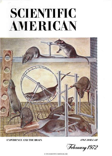 Scientific American Magazine Vol 226 Issue 2
