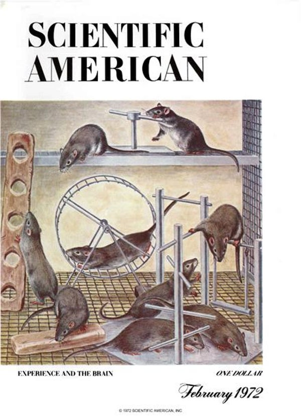 Scientific American Magazine Vol 226 Issue 2