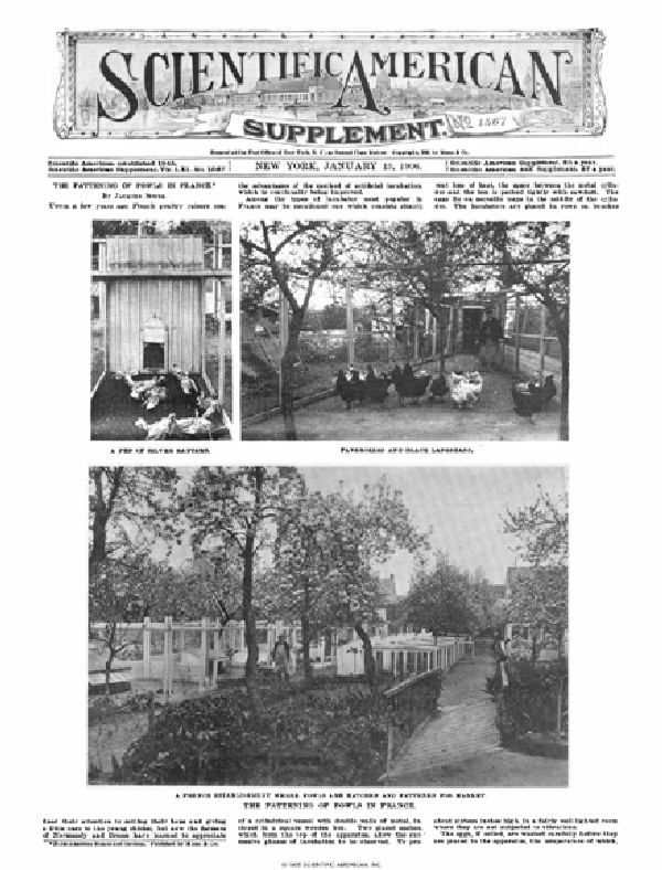 SA Supplements Vol 61 Issue 1567supp