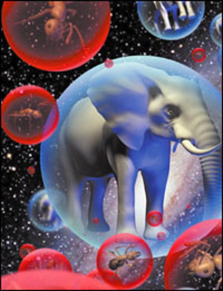 MALE AFRICAN ELEPHANT