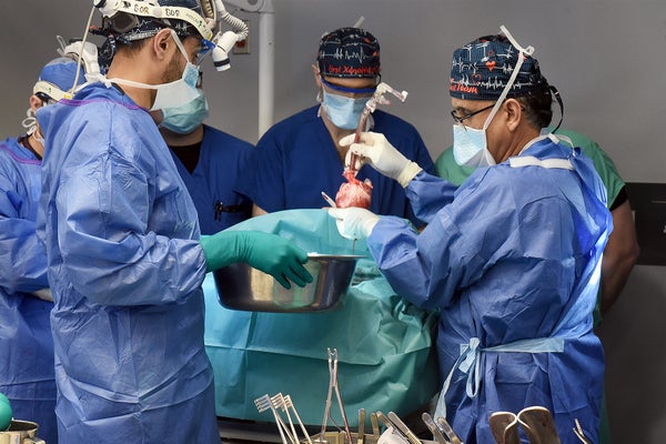 A team of surgeons in an operating room lifting a heart above their patient on the operating table