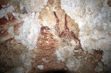 World's Oldest Cave Paintings Are Fading--Climate Change May Be to Blame