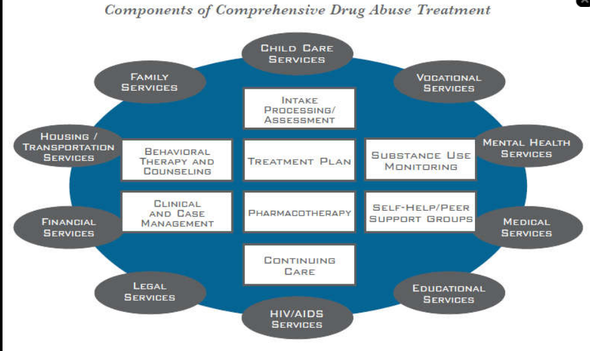 Standard Treatments for Drug Addiction