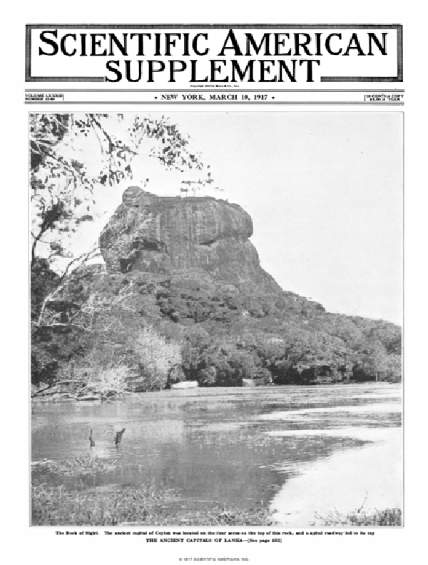 SA Supplements Vol 83 Issue 2149supp