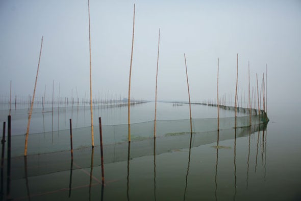 China's Fish Farms Could Save the Oceans