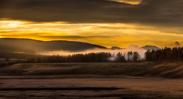 Steam rises from a geyser in Yellowstone National Park.