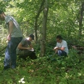 FIELD WORK
