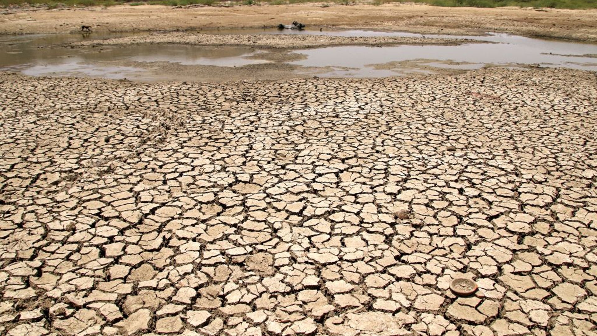 As Land Degrades, India Struggles to Save Its Farms | Scientific American
