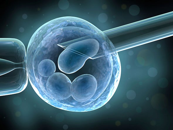 U.S. Panel Green-Lights Creation of Male 3-Person Embryos