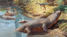 The Unlikely Triumph of Dinosaurs