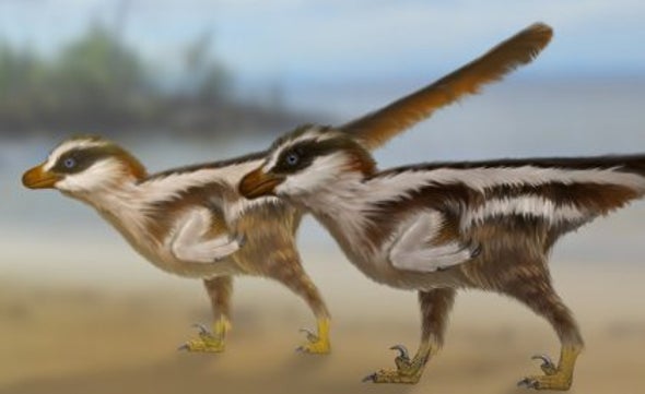 Tiny Footprints May Have Been Made by World's Smallest Nonavian Dinosaur