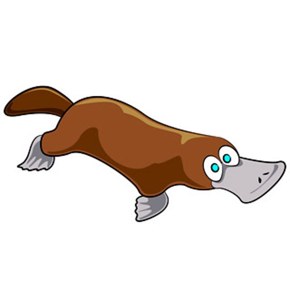 What's Our Connection to the Platypus?