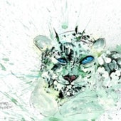 Snow Leopard: