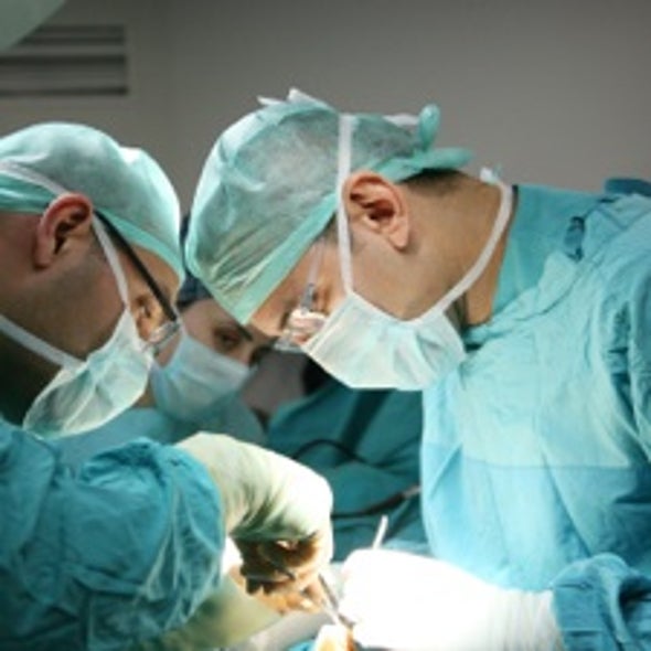 One's Enough: People Who Donate a Kidney Live Just as Long as Those Who Don't