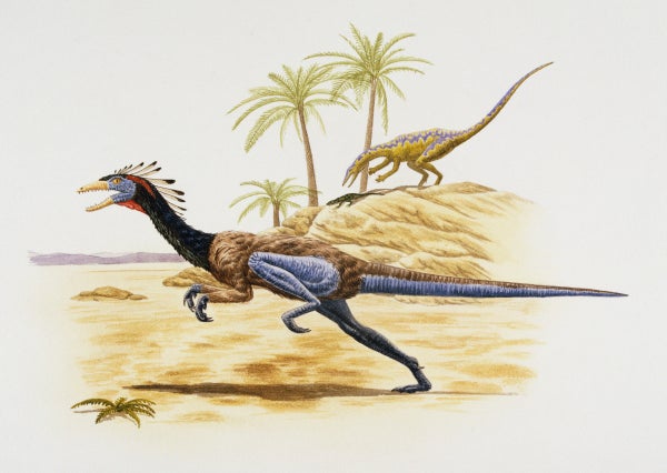 Close up of a dinosaur running.