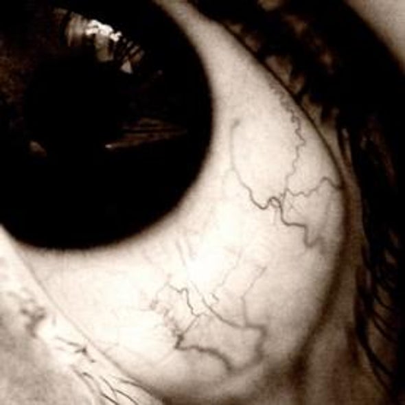 Mouse Study Reveals Mechanism behind Diabetes Blood Vessel Damage