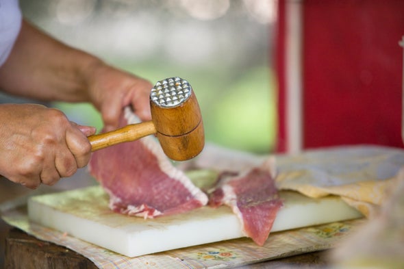 Raw Stone Age Meals Got Tenderizing Treatment