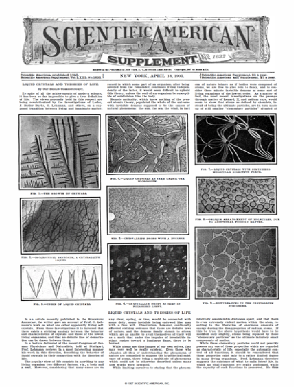 SA Supplements Vol 63 Issue 1632supp
