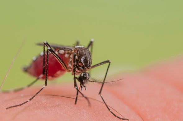 Utah Officials Confirm Elderly Zika Patient's Death