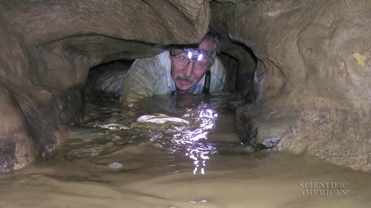 Stalagmites Point to Caves' Shaky History | Scientific American