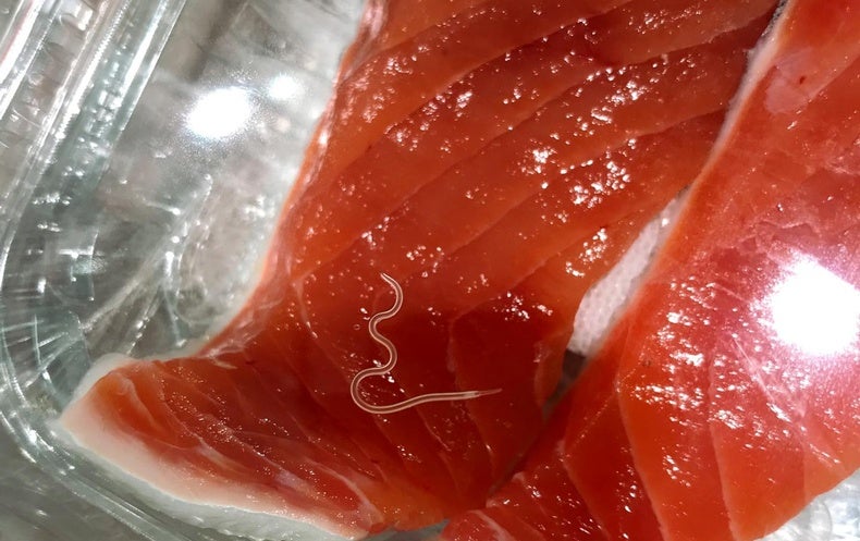 raw tuna parasites