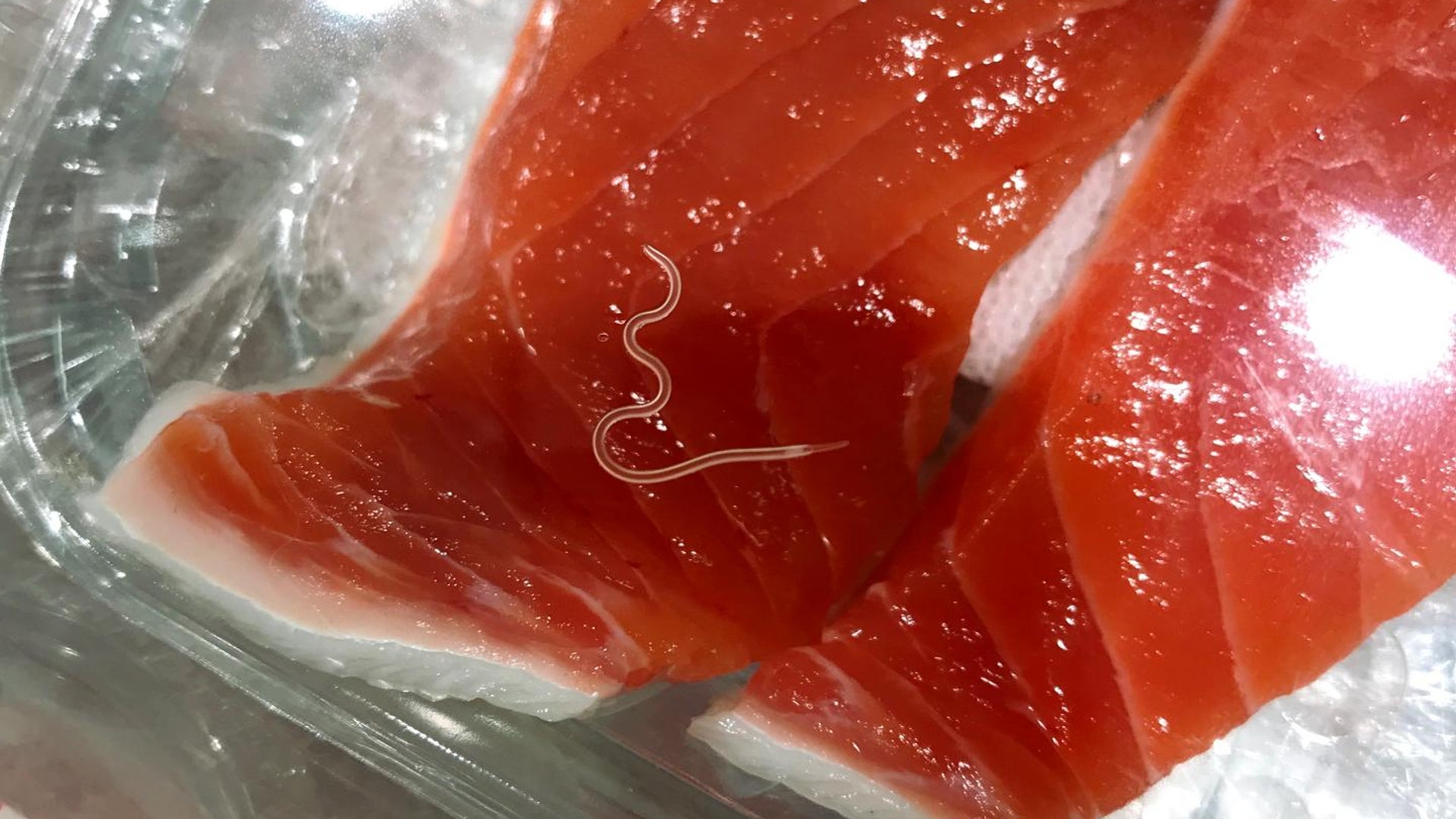 Waiter, What's This Worm Doing in My Sushi? | Scientific American