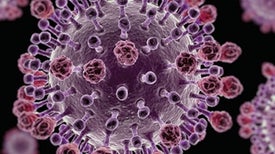 One Test Detects Every Vertebrate Virus