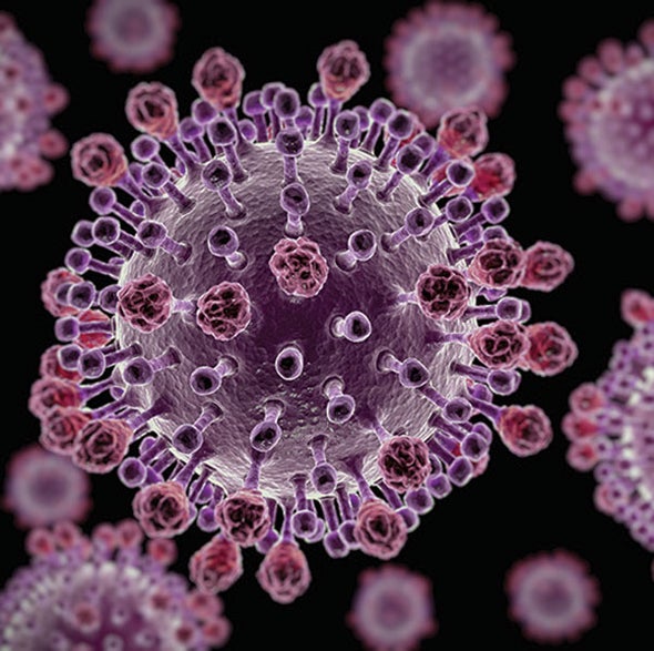 One Test Detects Every Vertebrate Virus