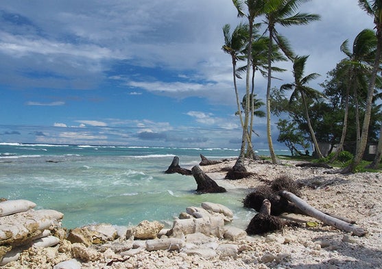 The Kiribati People Battle Sea Level Rise [Slide Show]