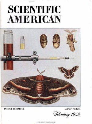 Scientific American Magazine Vol 198 Issue 2