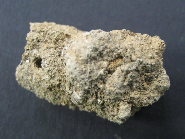 Preserved Poop Is an Archaeological Treasure