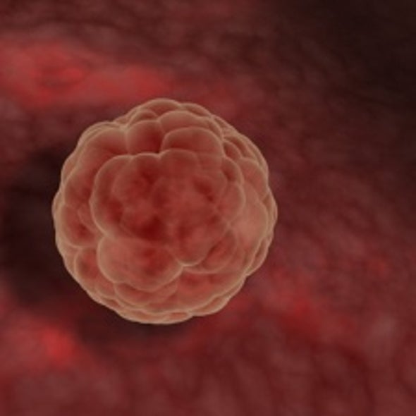 Fact or Fiction: Artificial Reproductive Technologies Make Sick Kids