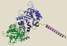 Proteins Never Seen in Nature Are Designed Using AI to Address Biomedical and Industrial Problems Unsolved by Evolution
