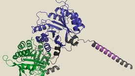 recent research paper in biotechnology