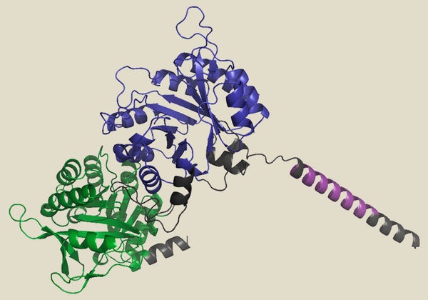 FAM151A predicted tertiary structure