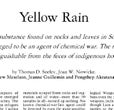 Yellow Rain