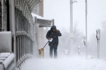 Arctic Warm Spells Linked to Nasty Winter Weather on East Coast