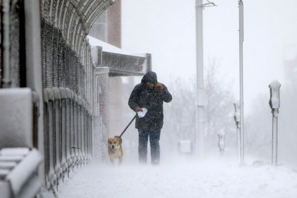Arctic Warm Spells Linked to Nasty Winter Weather on East Coast
