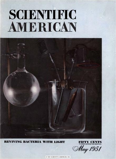 Scientific American Magazine Vol 184 Issue 5