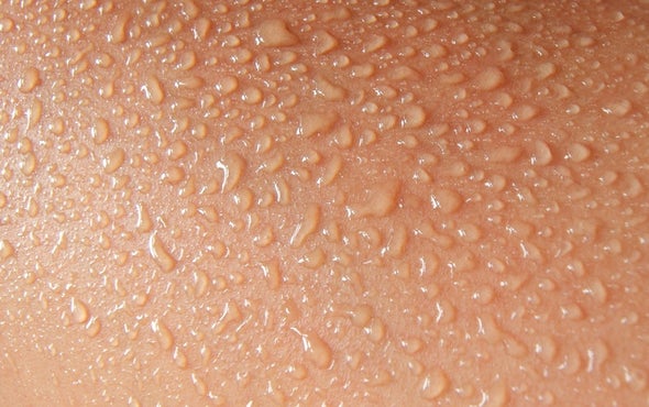 Sweating Robot Beats the Heat